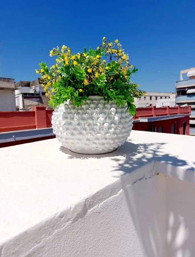 Dimora Asmara 11 15 Apartment Brindisi